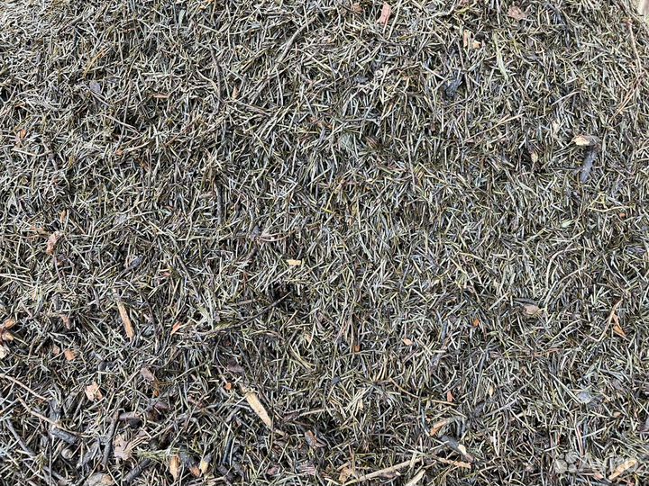 Мульча, пихтовые лапки