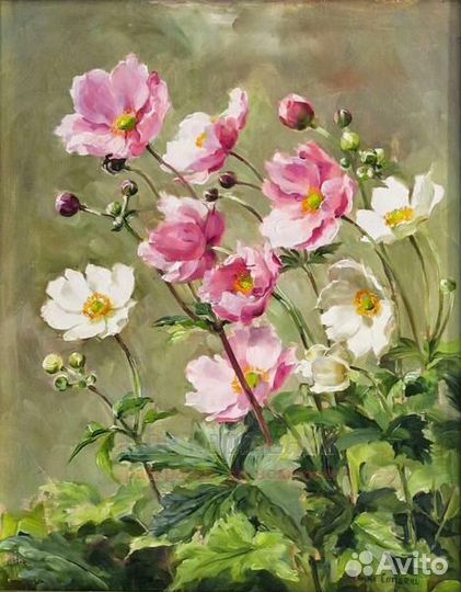 Картина по номерам 40x50 Нежное цветение полевых ц