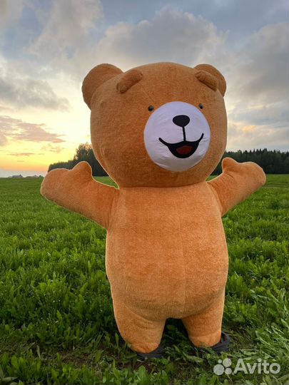 Ростовой костюм медведя теда