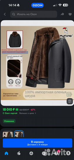 Кожаная дубленка мужская