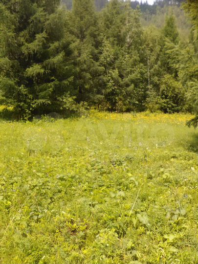 Участок 16 сот. (СНТ, ДНП)