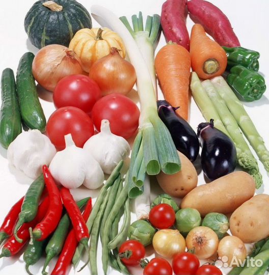 Корма для животных