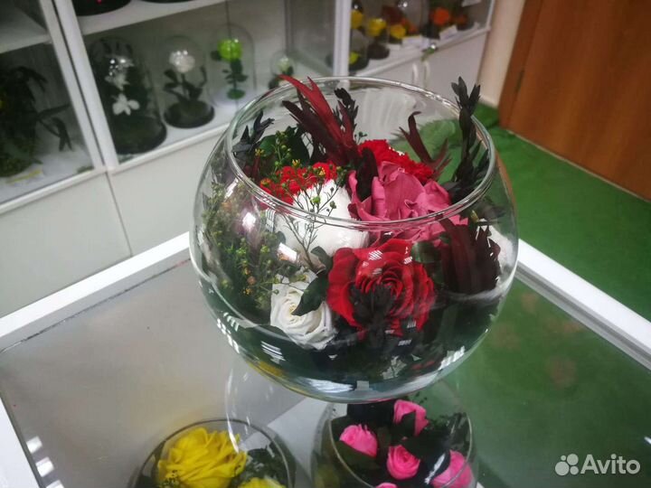 Флорариум, цветы в колбе. Не завянут до 5 лет, от