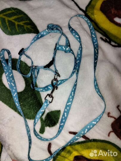 Шлейка для кошки или маленькой собачки