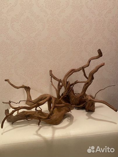 Коряга
