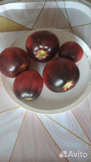 Семена томата Сержант Пеппер(Sgt.Pepper's)