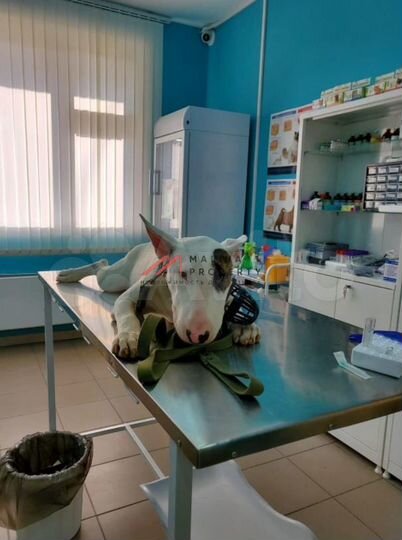 Продам торговое помещение, 64 м²