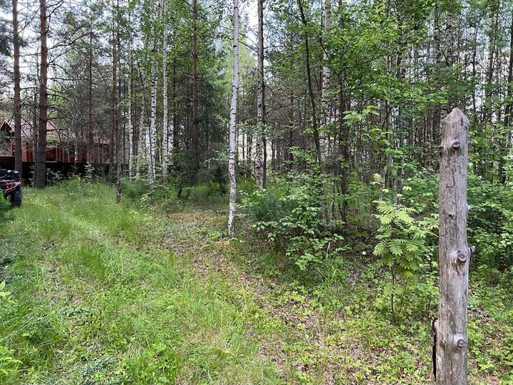 Участок 12 сот. (ИЖС)