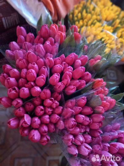 Цветы тюльпаны и букеты с доставкой