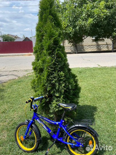 Велосипед для детей