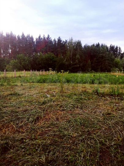 Дом 50 м² на участке 25 сот.