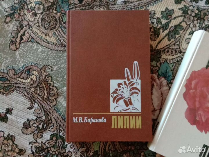 Книги для дачника