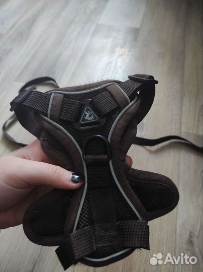 Шлейка для собак, прогулочная