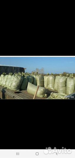 Навоз конский в мешках конский