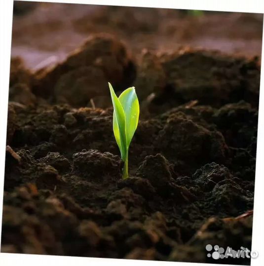 Навоз, грунт, торф 8, 12, 18 куб. м