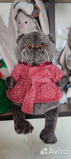 Кот басик /budi basa basik