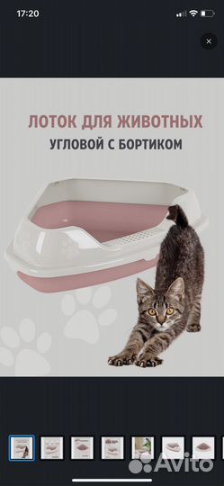 Лоток для кошек