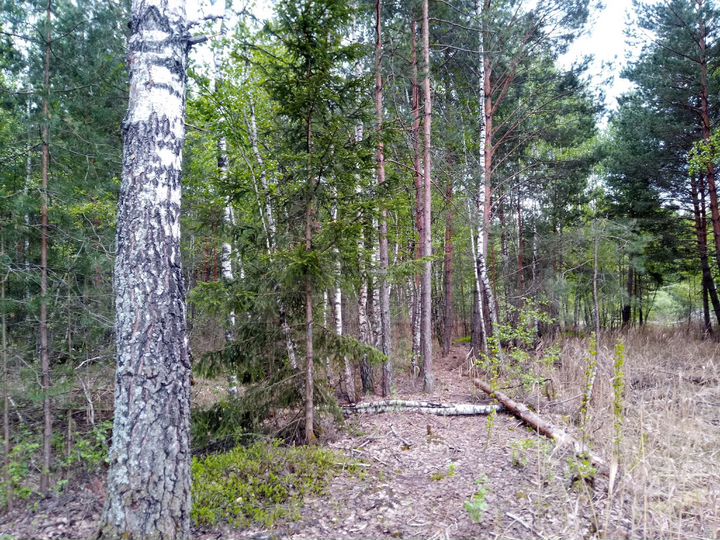 Участок 12,86 га (СНТ, ДНП)