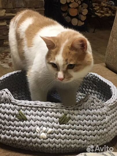 Лежак для кошки