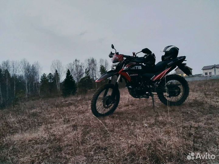 Avantis MT250