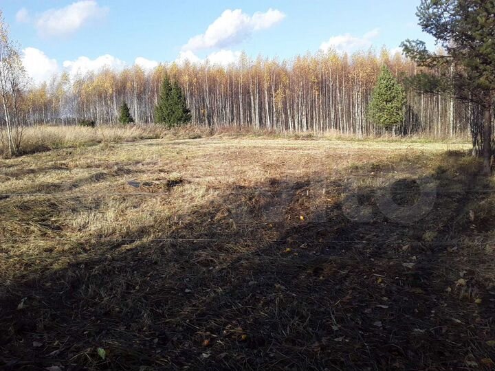 Участок 16 сот. (СНТ, ДНП)