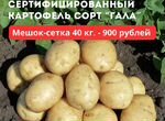 Продаю картофель