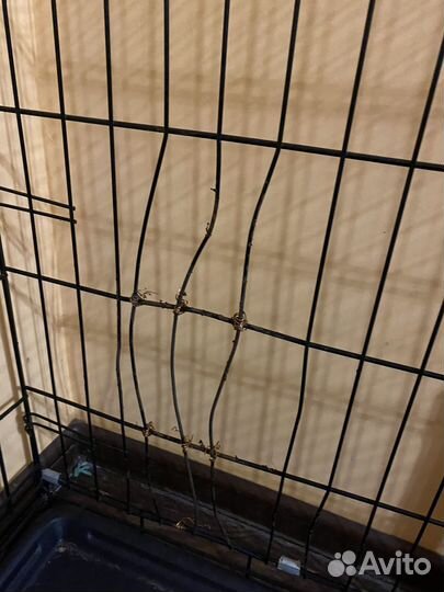 Клетка вольер для собак