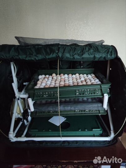 Инкубатор тгб пласт на 240 куриных яиц