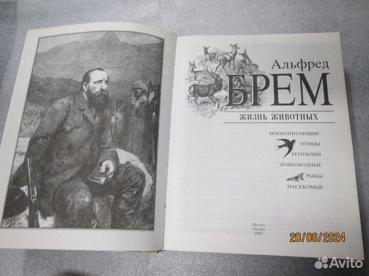 Эд. Радзинский. Князь. А.Б.Эдмунд Жизнь животных