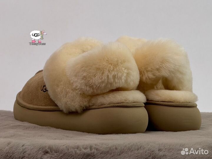 Угги тапочки женские Ugg Slippers Disquette