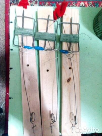 Жерлецы(для зимней ловли щюки)