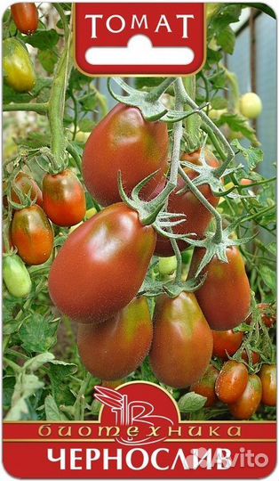 Семена помидор