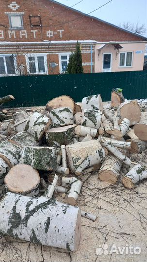 Спил деревьев и кустарников, покос травы