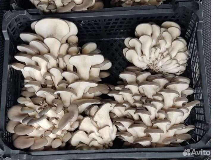 Инвестиции