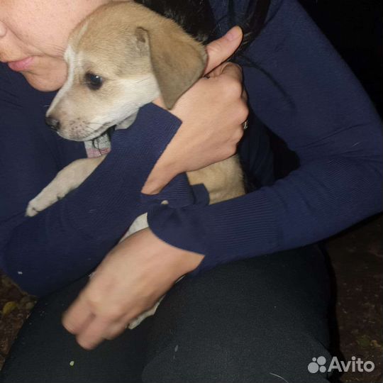 Выкинули в мешке