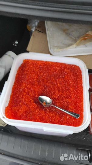 Икра красная