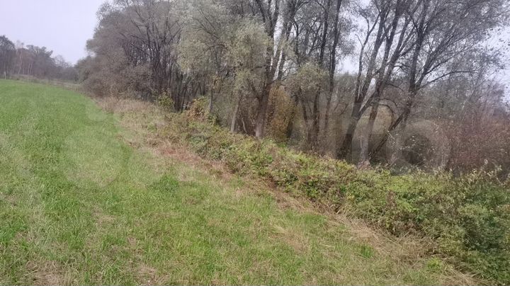 Участок 3 га (СНТ, ДНП)