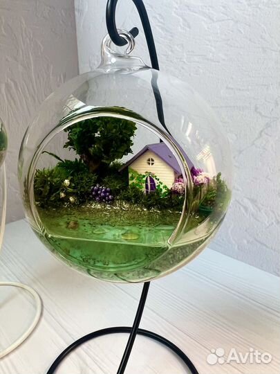 Флорариум Подвесы с моссариумами Подарок