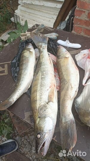 Отдых и рыбалка