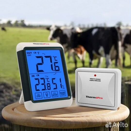 Термометр-гигрометр с датчиком ThermoPro TP-65C