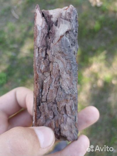 Кора дерева из кинодеревни