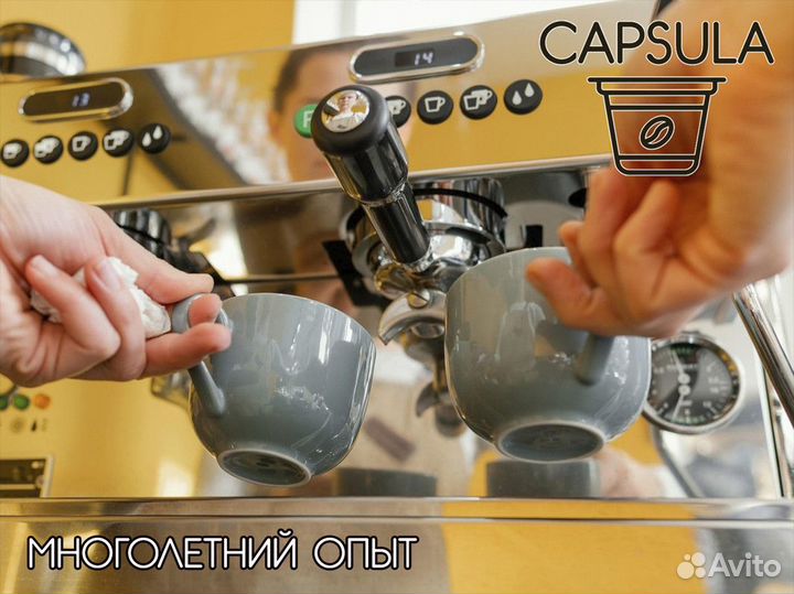 Готовьтесь к успеху с capsula