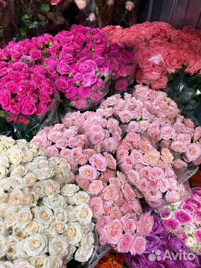 Доставка цветов / Букет из роз