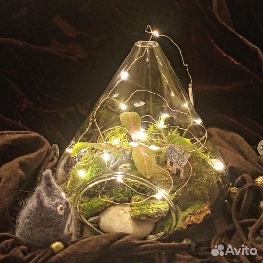 Флорариумы в наличии и под заказ