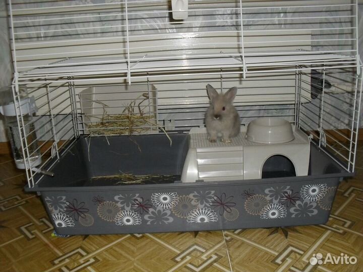 Клетка для кролика