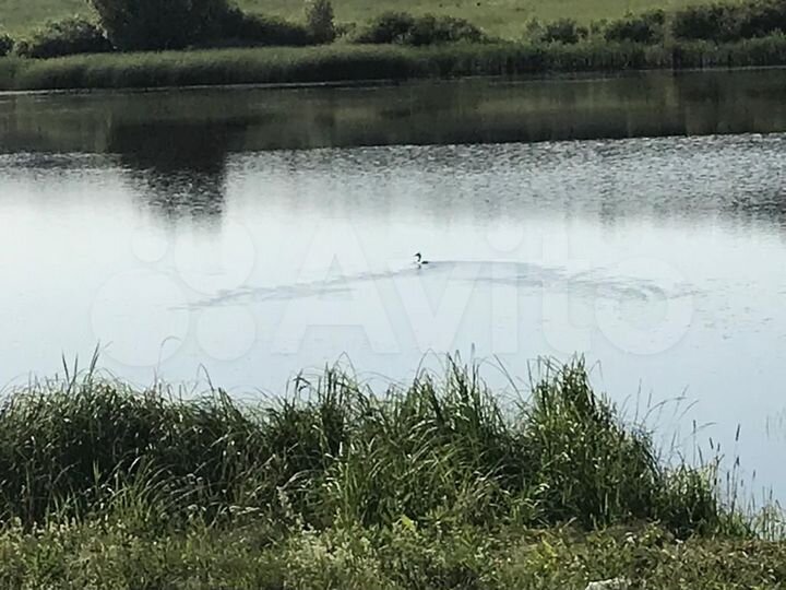 Участок 24 га (СНТ, ДНП)