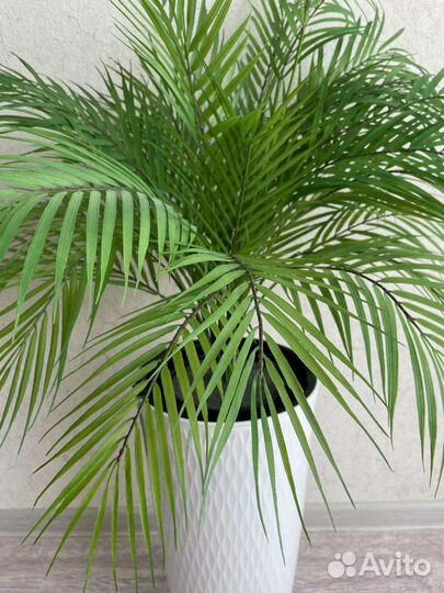 Искусственные цветы и деревья, пальма
