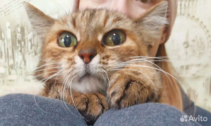 Марточка очень нуждается в семье