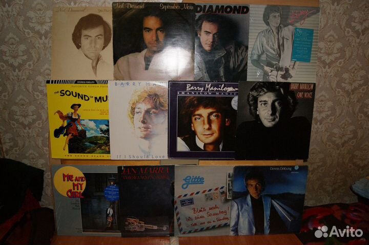 Виниловые пластинки (LP )