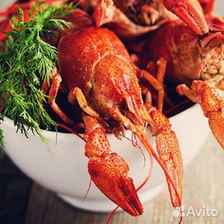 Микс живых речных раков в наличии